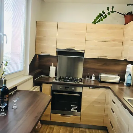 Daire Novy V Ostrave U Misky S Akvariem A Vyhledem Z Balkonu Na Beskydy *